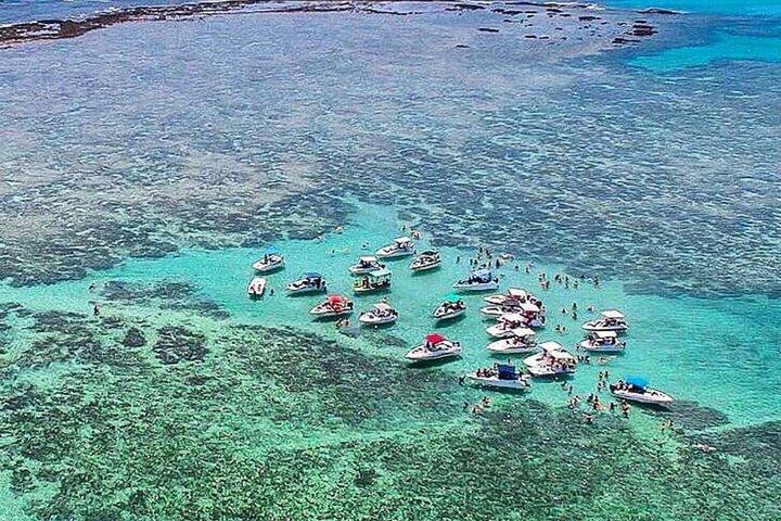 Boat Tour in Maragogi