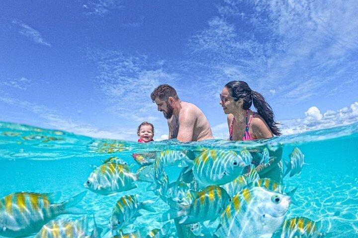 Boat Tour in Maragogi