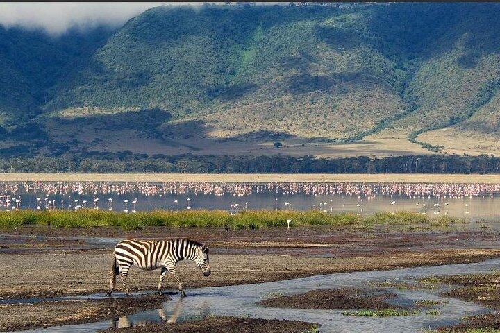 4 Day Safari in Serengeti, Ngorongoro and Tarangire National Park