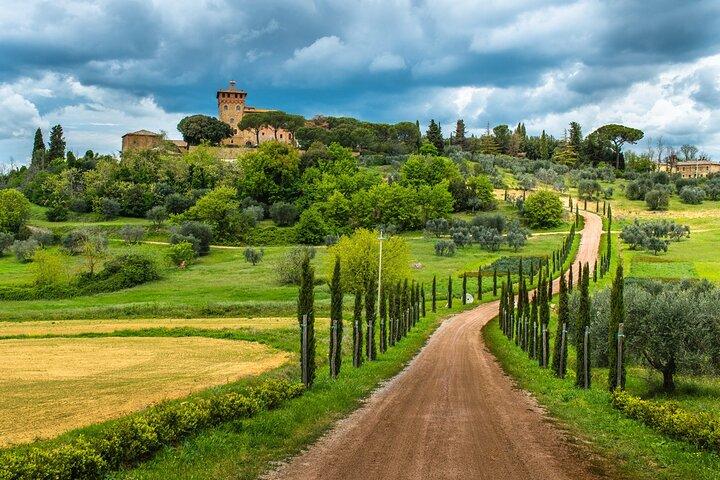 Florence: Pisa, Siena and Chianti with Lunch & Wine Tasting