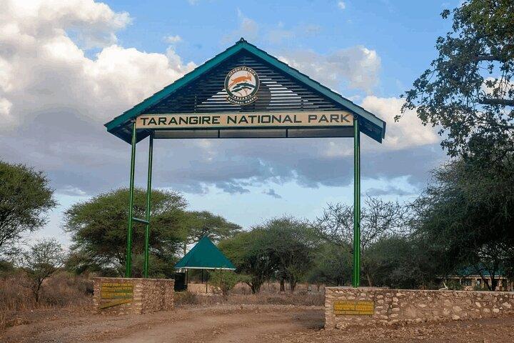 8 Days Luxury Safari in Tarangire, Serengeti and Ngorongoro
