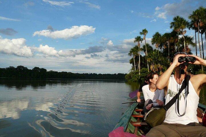 From Puerto Maldonado Lake Sandoval Jungle Trek Full Day