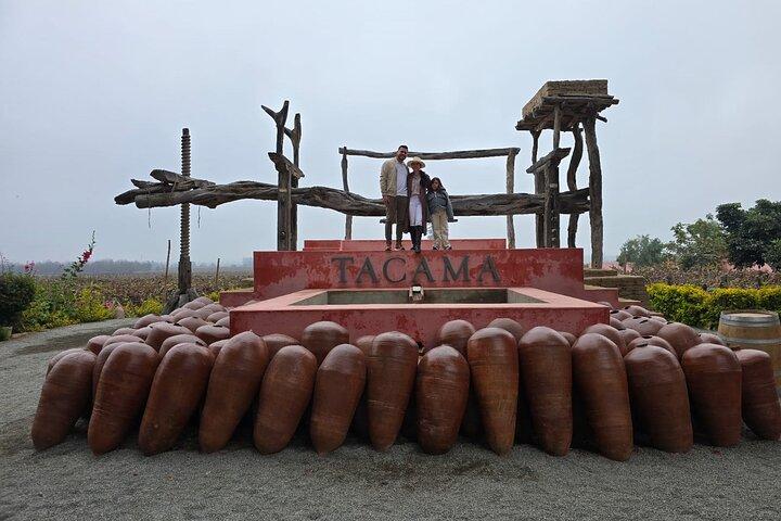 Experience in the Desert and Tours in the Ica Vineyards