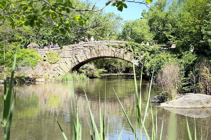 Central Park Pedicab Guided Tours with Theater