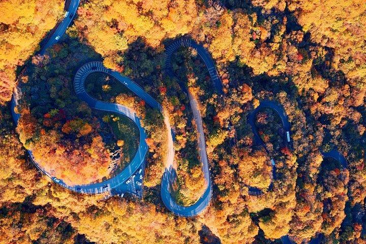 Nikko Autumn Kegon Falls, Lake Chujenji and Toshogu from Tokyo