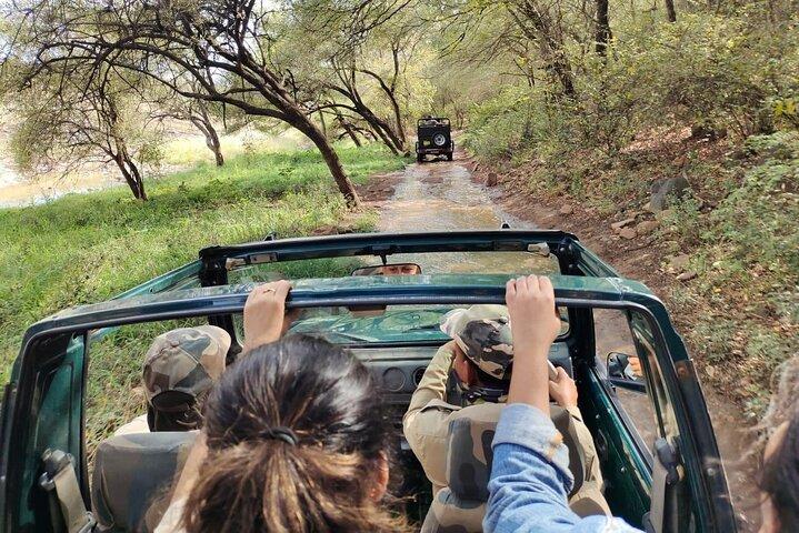 Ranthambore - Sharing Tiger Safari In Canter 20 seater Vehicle