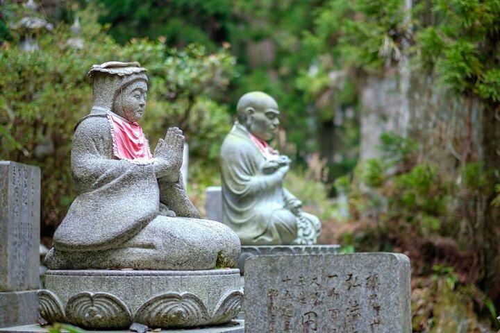 Nachi Waterfall, Mount Koya & Wakayama Tour with Two Options