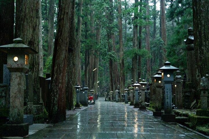 Nachi Waterfall, Mount Koya & Wakayama Tour with Two Options