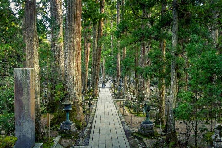 Nachi Waterfall, Mount Koya & Wakayama Tour with Two Options