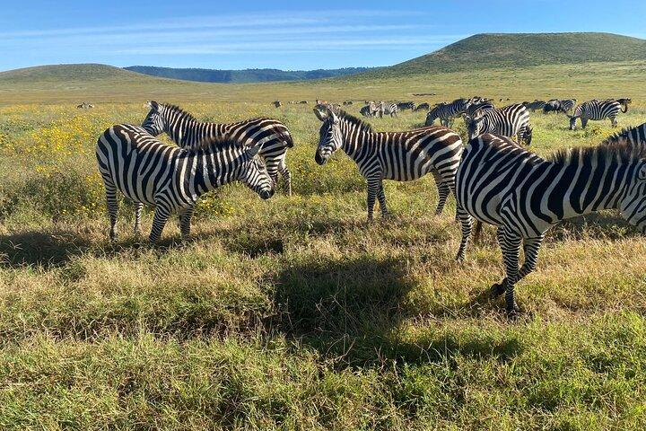 Day Trip Arusha National Park from Arusha
