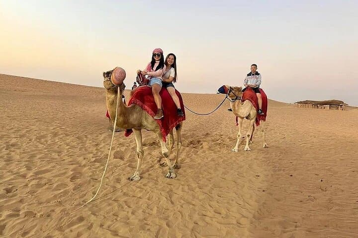Dubai Evening Desert Safari | Dune Bashing, BBQ & Camel Ride