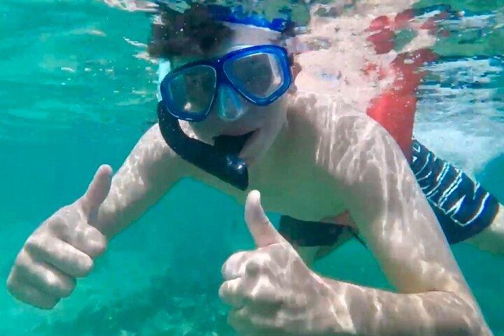 Swimming Pigs, Snorkeling and Beach Tour in Nassau Bahamas