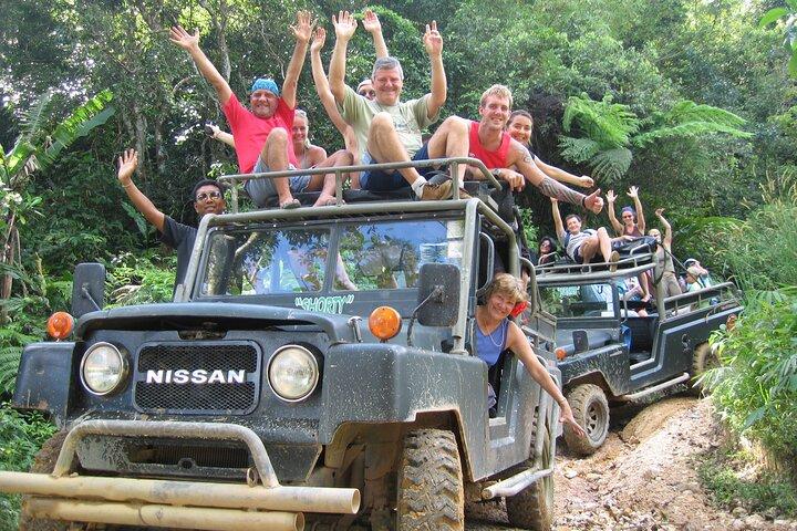 Army Jeep Jungle Safari and Elephant Freedom Rescue Centre Tour