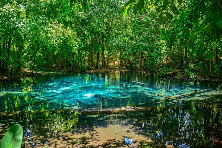 Krabi Jungle Escape Emerald Pool and Hot Springs Tour