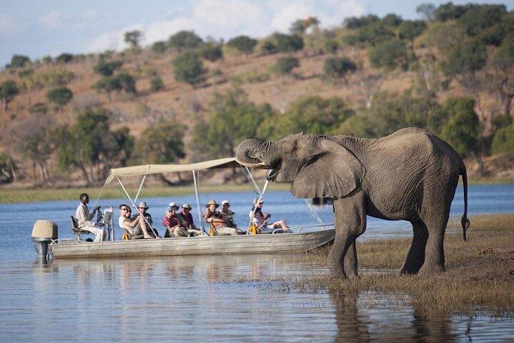 Chobe Full Day Safari with Buffet Lunch from Livingstone