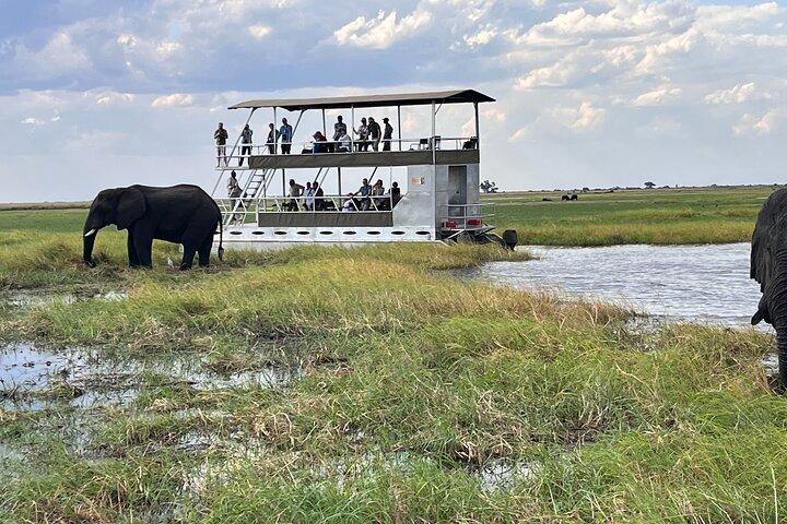 Chobe Full Day Safari with Buffet Lunch from Livingstone