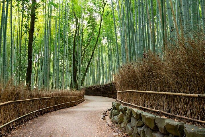Kyoto Arashiyama, Nara Park, and Fushimi Shrine Tour