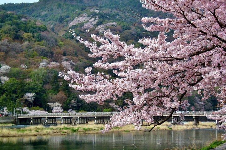 Kyoto Arashiyama, Nara Park, and Fushimi Shrine Tour