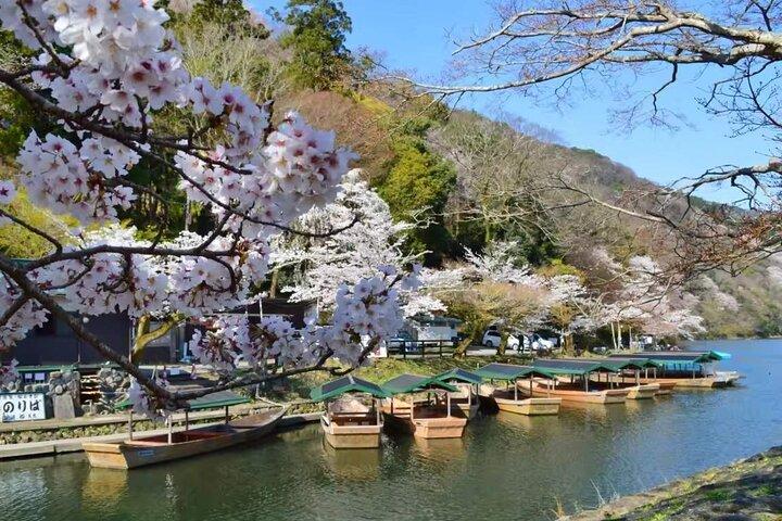 Kyoto Arashiyama, Nara Park, and Fushimi Shrine Tour