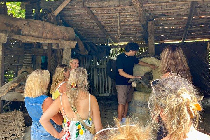 Tasting Limoncello, Oil and Typical Products in Farmhouse