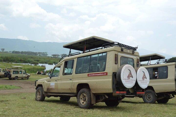 8 Days Luxury Safari in Tarangire, Serengeti and Ngorongoro