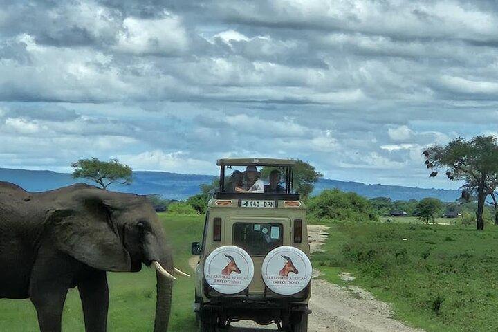 8-Days Western Serengeti Mysterious Adventures All Inclusive.