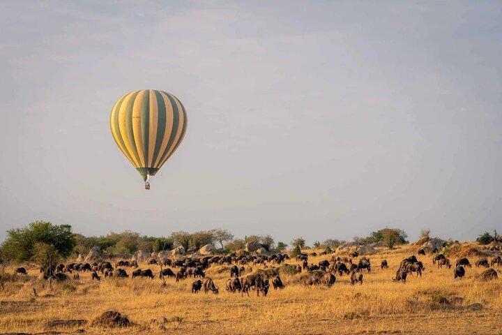 8-Days Western Serengeti Mysterious Adventures All Inclusive.