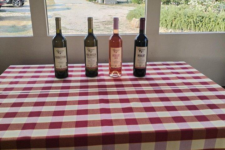Konavle Tradition & Vines: Vodopic Winery Journey