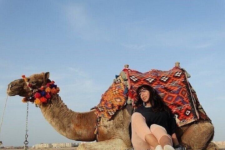 One Hour Camel Ride in Palmeraie Grove with Transfer - Marrakesh