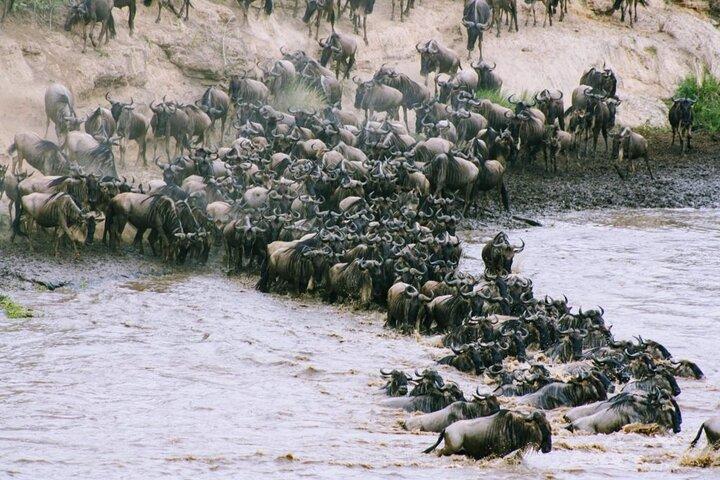 4 Day Great Migration Serengeti Luxury Experience