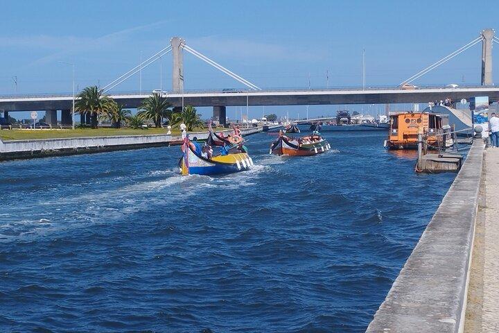 Private Lisbon to Porto tour - Scenic Stops - Electric Vehicle