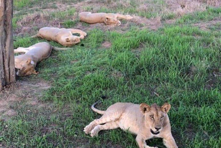 3 Days, 2 Nights in the Heart of Mikumi National Park