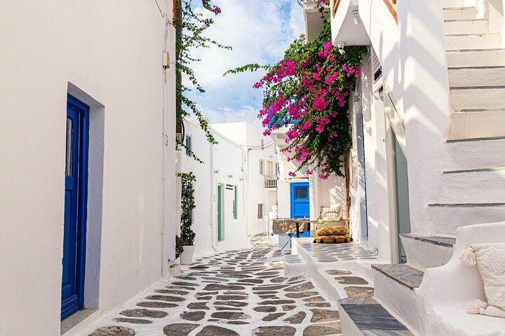 Mykonos Shore Excursion: Small Group Shore Tour for New Travelers