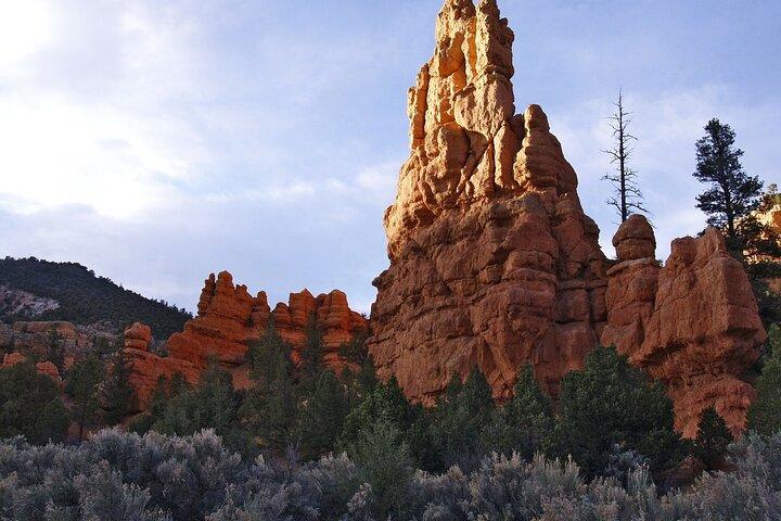 Las Vegas to Zion & Bryce Canyon: An Intimate Small-Group Tour