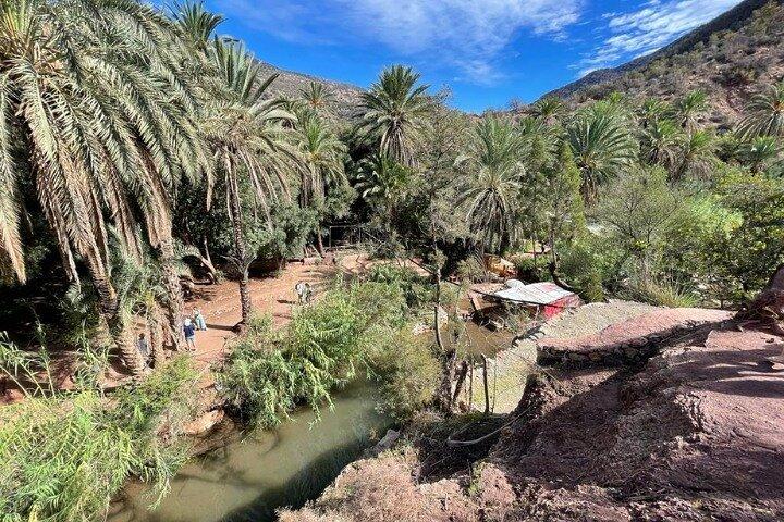 Paradise Valley Half Day with local guide
