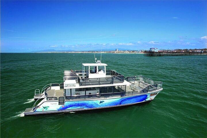 Two-Hour Luxury Whale Watching Tour from Oceanside