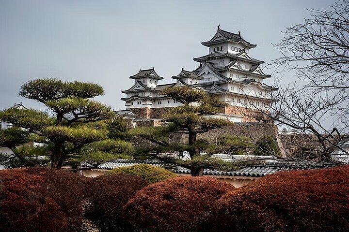 Kobe and Himeji One Day Private Tour From Osaka And Kyoto