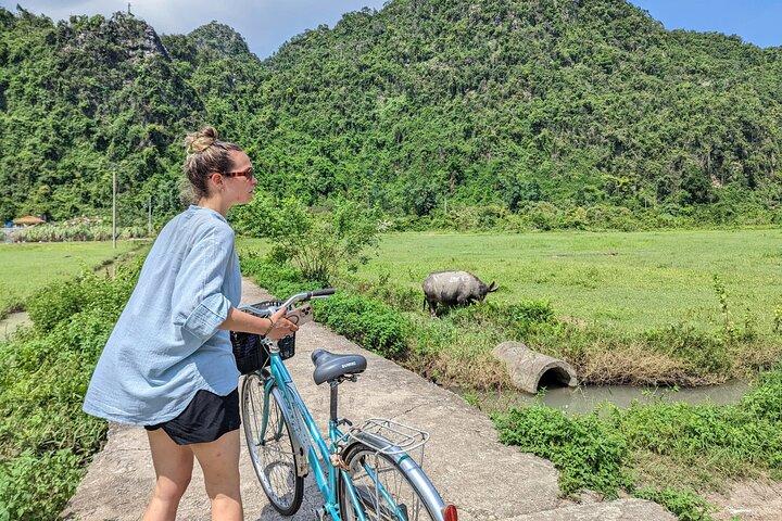Cat Ba Island 2 Days Adventure with Homestay, Trekking, Boat Trip