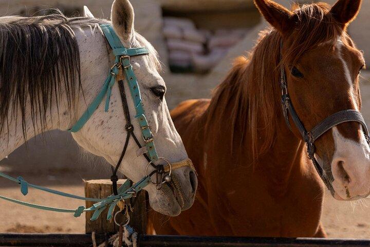 Cappadocia Horseback Riding Experience Sunrise, Daytime & Sunset