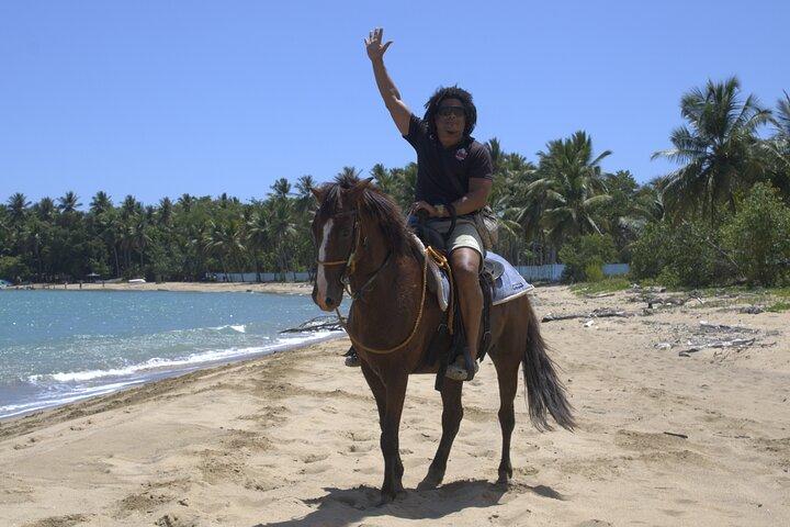 Puerto Plata: Horseback Riding& Small Groups & Beach & Swim Horse