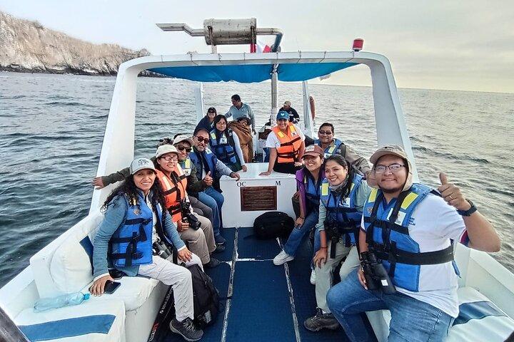Swim with sea lions in tourist boat Palomino Islands LIMA