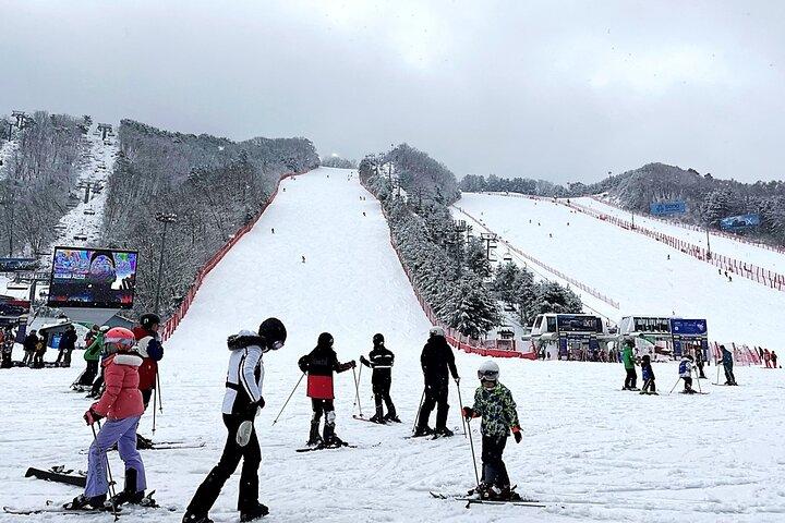 Vivaldi Park Ski Resort One Day Tour