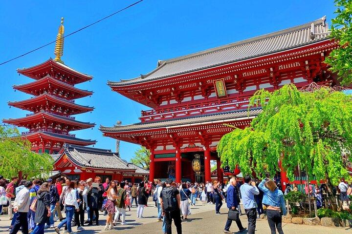 Tokyo Temples & Shrines Tour: Meiji Shrine, Asakusa & Zojoji