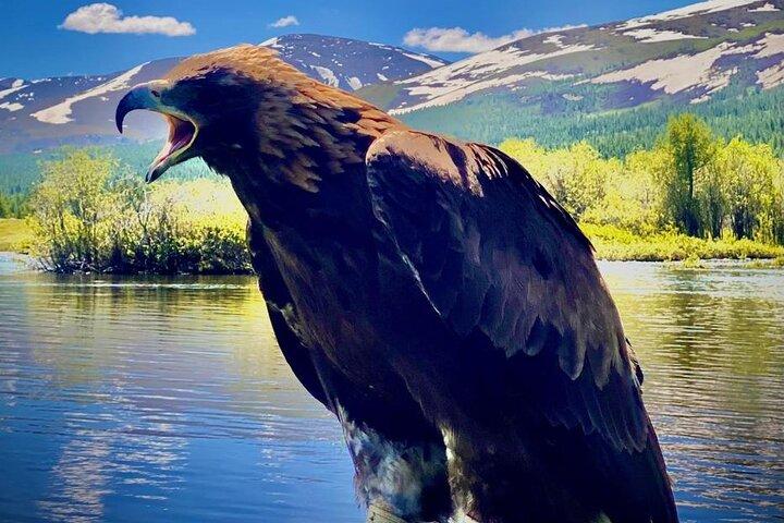 8 Day Altai Tavan Bogd Private Trekking