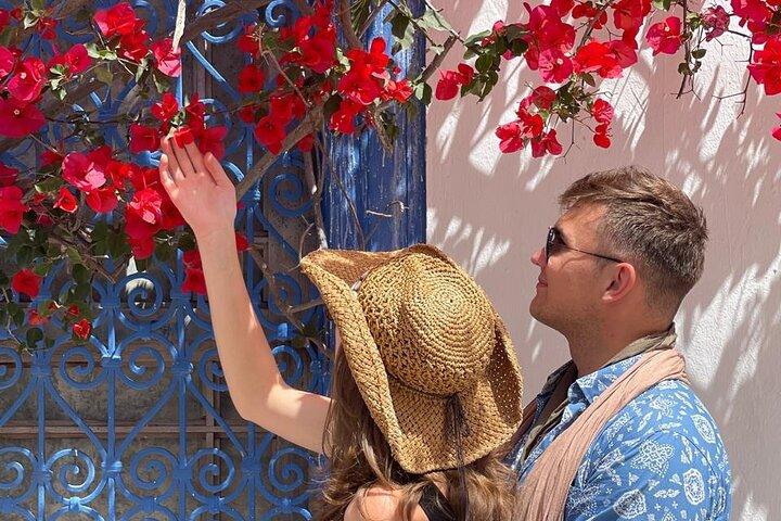 Private Day Trip: Carthage, Blue & White Sidi Bou Said & More