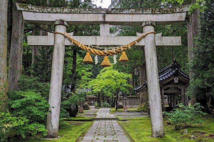 Day Tour from Kanazawa OR Toyama: Snow Wall and Mysterious Valley