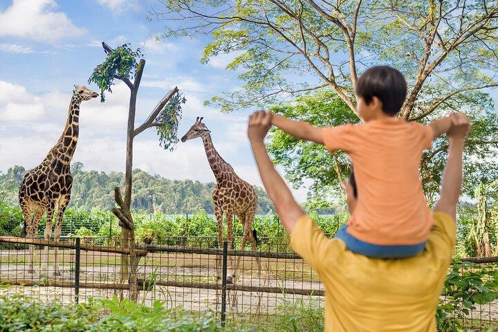 Singapore Zoo Entry Ticket
