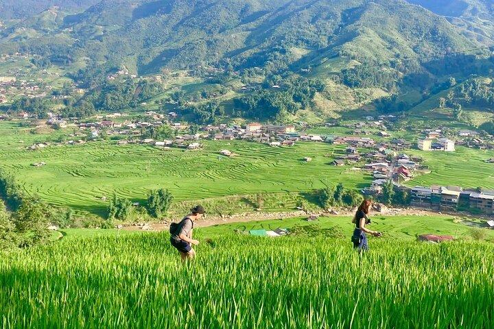 Trekking the Terraces: Scenic Sapa & Ethnic Village Discovery