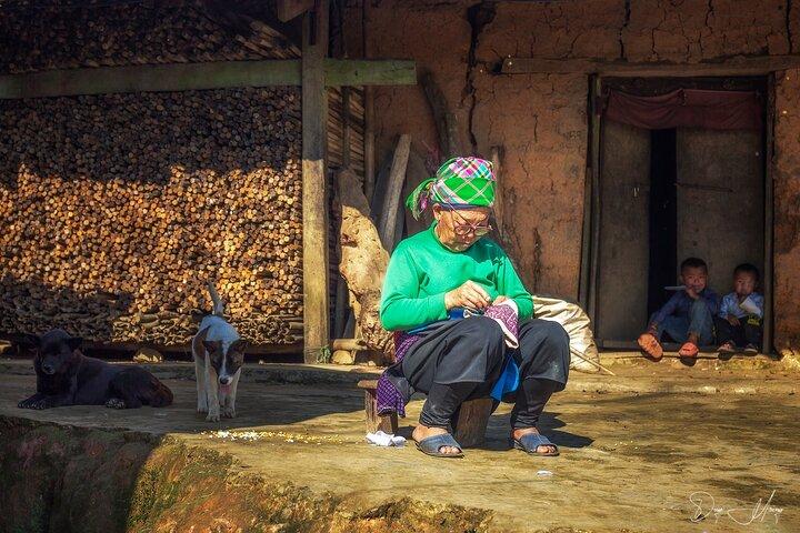 Sapa to Cat Cat Village: Half-Day Scenic Walk with Local Guide