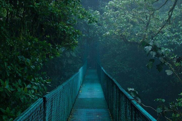 Monteverde Cloud Forest hanging bridges Nature Tour